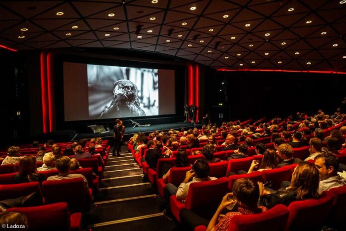 Mês do cinema - Confira grandes nomes da TV e cinema nacional que já se aposentaram ou faleceram